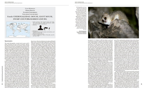 Handbook of the Mammals of the World no 3, Primates - Lynx 2013